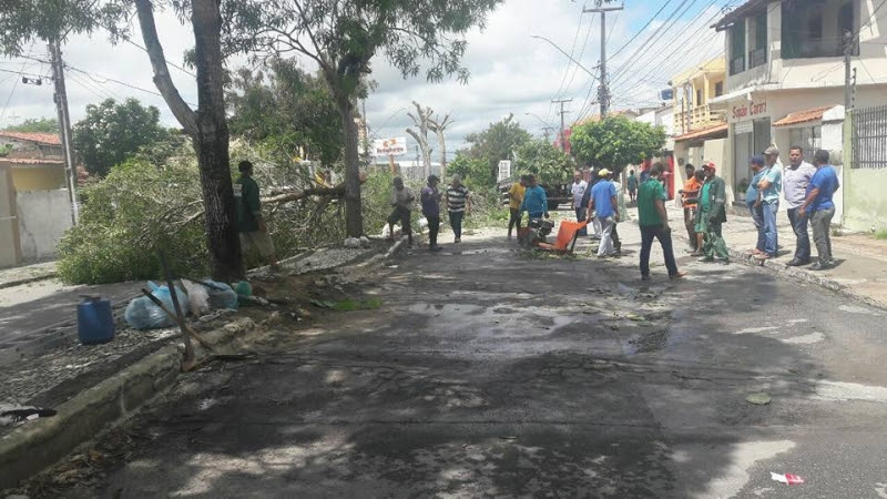 Sesuma intensifica retirada de árvores e raízes para evitar quedas e acidentes
